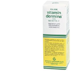 VITAMINDERMINA POLVERE MENT 100 G