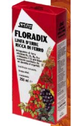 FLORADIX FERRO E VITAMINE 250 ML