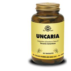 anteprima
