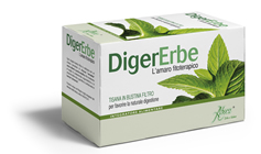 DIGERERBE 20 FILTRI TISANA 40 G