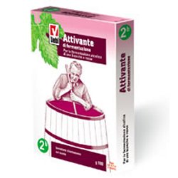 ATTIVANTE FERMENTAZIONE 100 G