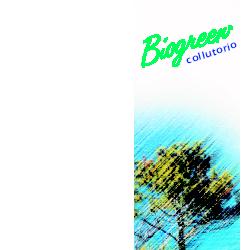 COLLUTORIO BIOGREEN 150 ML