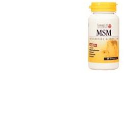 LONGLIFE MSM 1000 MG 60 TAVOLETTE