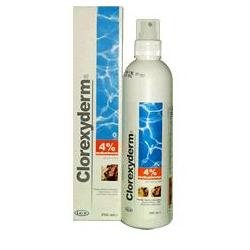 CLOREXYDERM SOLUZIONE 4% 1000 ML