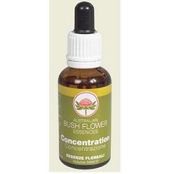 CONCENTRATION AUSTRALIAN 30 ML