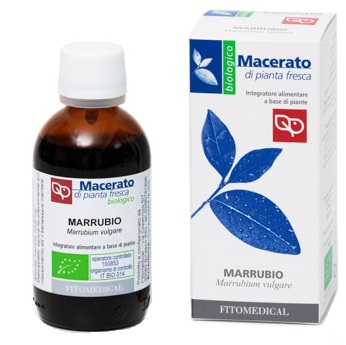 anteprima