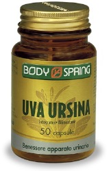 anteprima