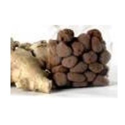 ZENZERO CANDITO 75 G