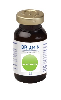 DRIAMIN MANGANESE 15 ML