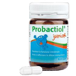 anteprima