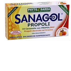 SANAGOL PROPOLI S/Z ARANCIA 24