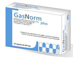 GASNORM PLUS 36CPS