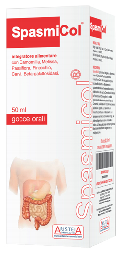 anteprima