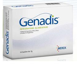 GENADIS 14 BUSTINE