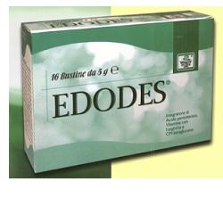 EDODES 16BUST