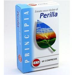 anteprima