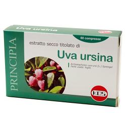 anteprima