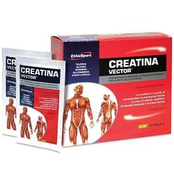 ETHICSPORT CREATINA VECTOR 20 BUSTINE 8 G