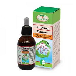 CITOYANG ZENZERO GOCCE FLACONCINO 50 ML