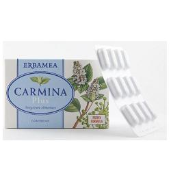 CARMINA PLUS 24 COMPRESSE 19,2 G