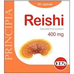 REISHI ESTRATTO SECCO 60 CAPSULE