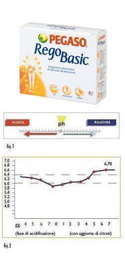 REGOBASIC 12 BUSTINE POLVERE