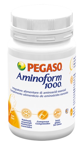 anteprima