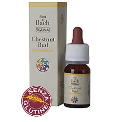 CHESTNUT BUD GTT 10ML