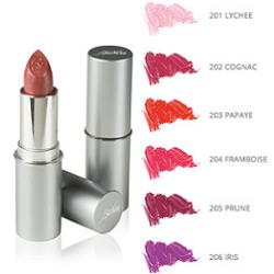 DEFENCE COLOR BIONIKE ROSSETTO SEMITRASPARENTE LIPSHINE 205PRUNE