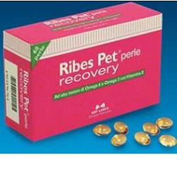 RIBES PET RECOVERY BLISTER 60 PERLE