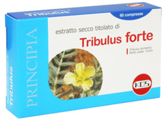 anteprima