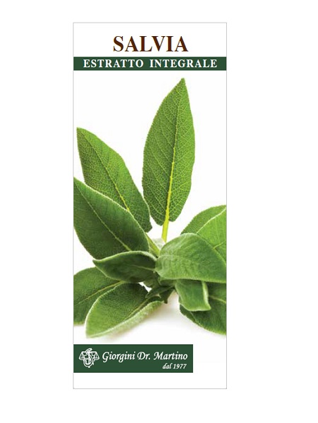 anteprima
