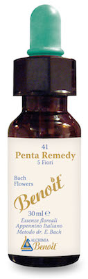 PENTA REMEDY BENOIT 30 ML