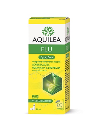anteprima