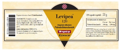 anteprima