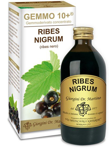 GEMMO 10+ RIBES NERO 200 ML LIQUIDO ANALCOLICO