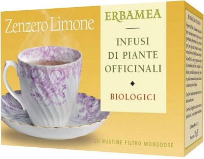 ZENZERO/LIM BIO 20 BUSTINE 30 G
