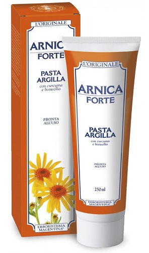 ARNICA FORTE PASTA ARGILLA 250 ML