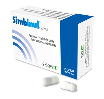 SIMBINUL 24 CAPSULE