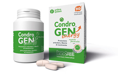 CONDROGEN ENERGY 90 COMPRESSE MASTICABILI