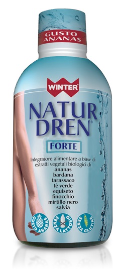 WINTER NATUR DREN 500 ML GUSTO ANANAS