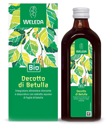 DECOTTO DI BETULLA 250 ML