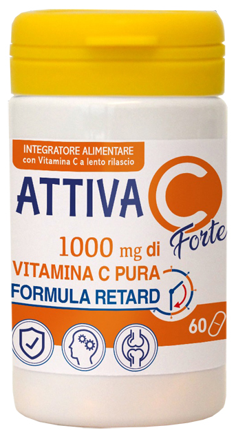 anteprima