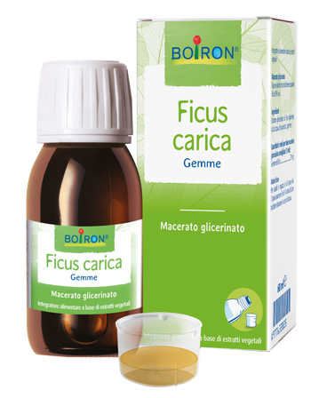 FICUS CARICA GEMME MACERATO GLICERINATO 60 ML INT