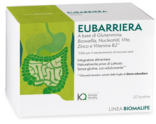 EUBARRIERA 20 BUSTINE