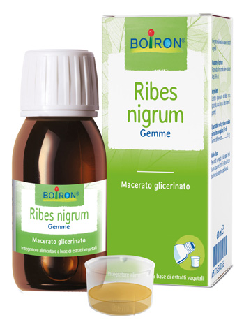 RIBES NIGRUM MACERATO GLICERICO 60 ML INT