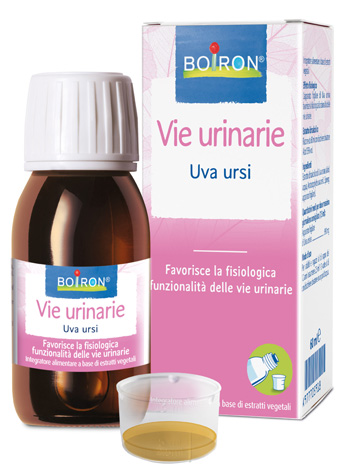 anteprima