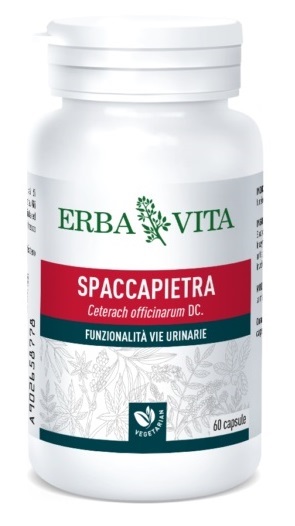 SPACCAPIETRA 60 CAPSULE