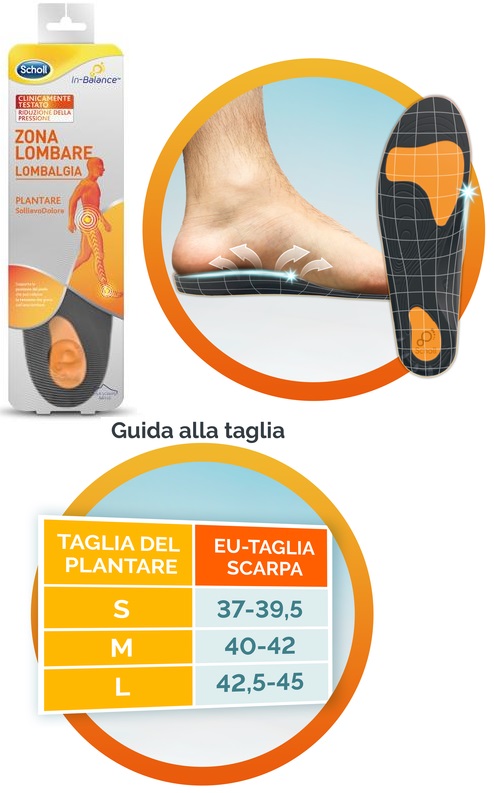 SCHOLL PLANTARE LOMBARE L 2 PEZZI