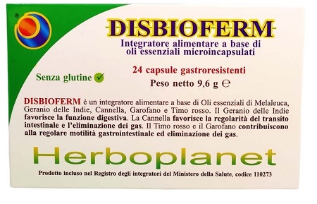 DISBIOFERM 24 CAPSULE